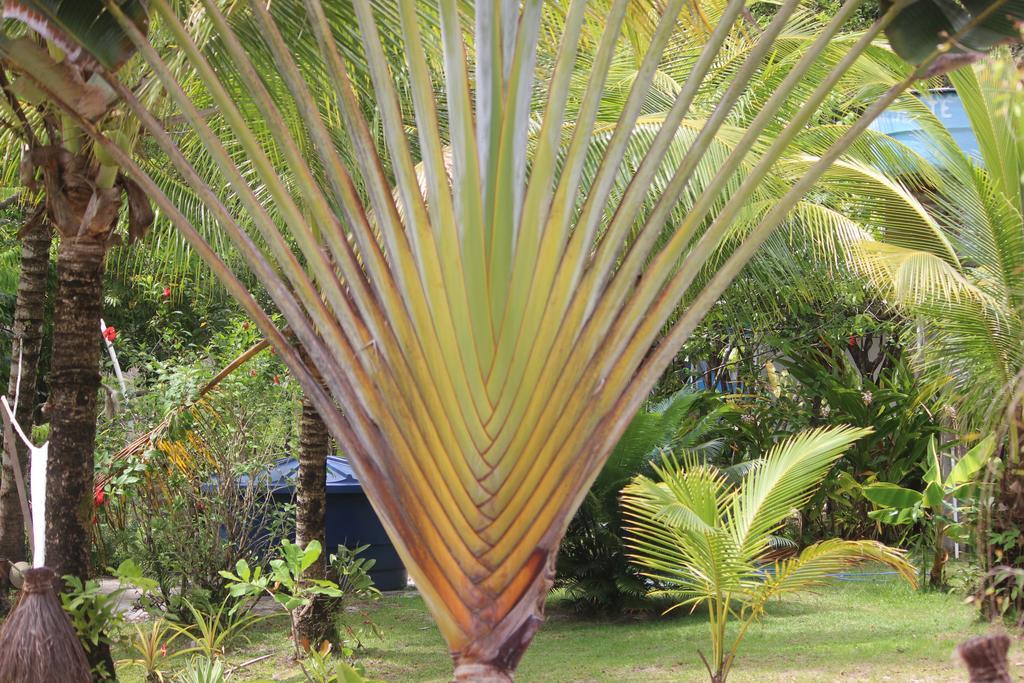 Pousada Quartinho De Praia Boipeba Island Ngoại thất bức ảnh
