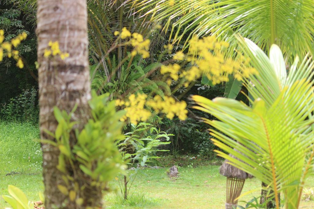 Pousada Quartinho De Praia Boipeba Island Ngoại thất bức ảnh
